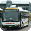 Busabout Sydney Bus Image Gallery